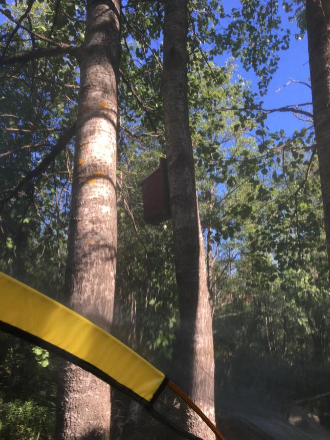 Savikulma Tentsile Tent Mynamaki Экстерьер фото